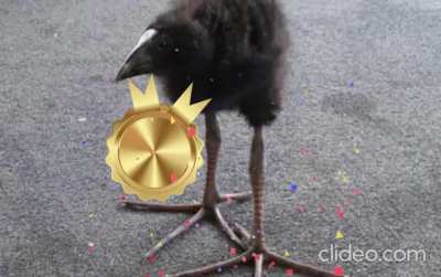 MEDAL APPRECIATION!!!!