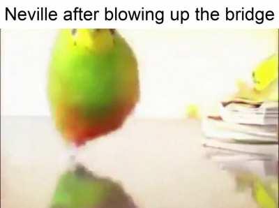 Cool guys don't look at explosions