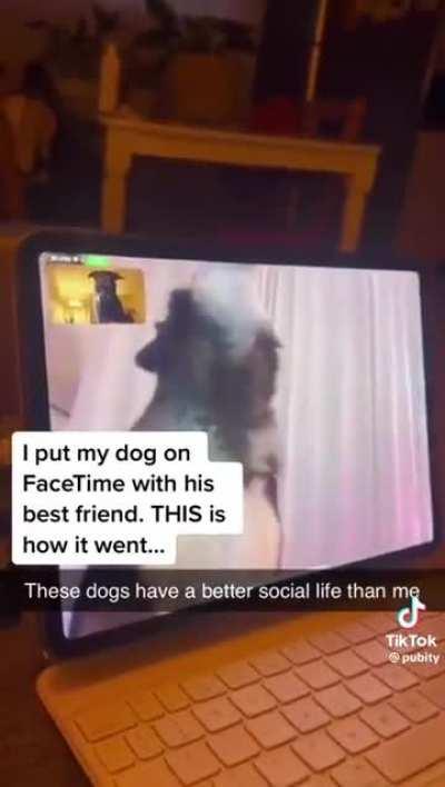 lol I love evolution