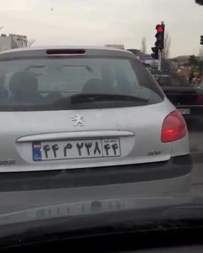 Error: it's raining eggplants in Iran