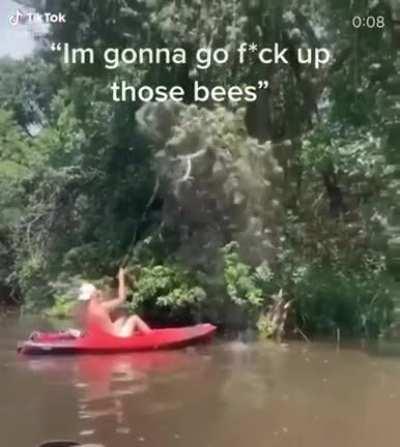 I'm gonna go f*ck up those bees