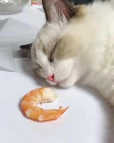 Перекусы во сне и наяву