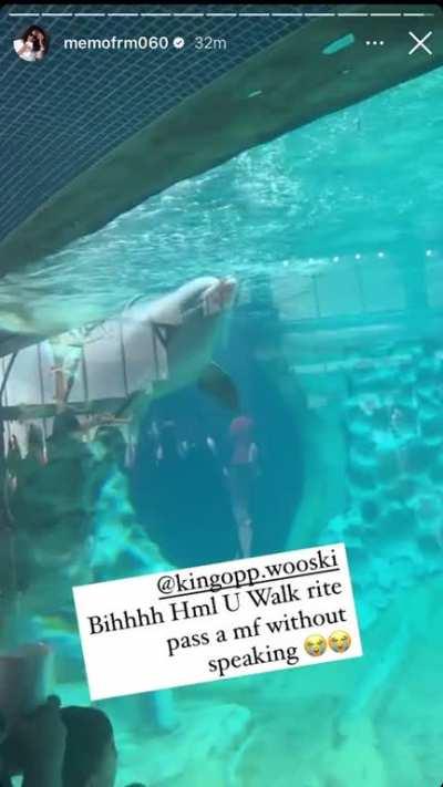 memo got no chillð­ð­