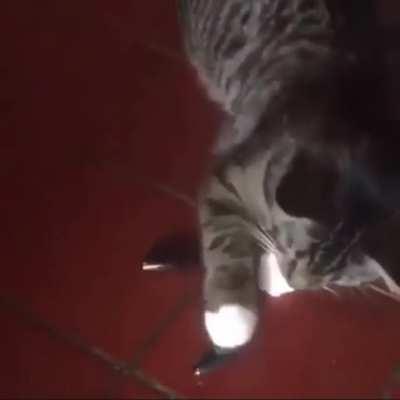 What is this sorcery? (...it's magnets)