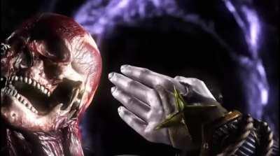 That was a Flawless - No, Elegant Victory!