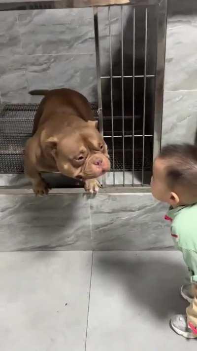 Finally we have peace 