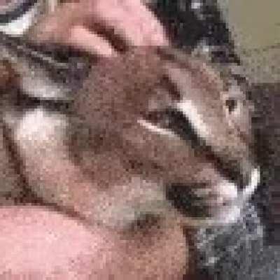 Does anyone know where this gif comes from?