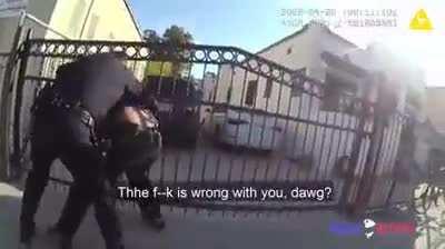 LAPD officers striking man repeatedly in Boyle heights