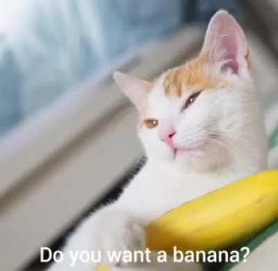 Do you want a banana?