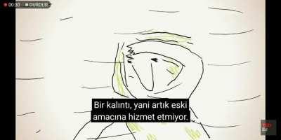 Evrimsel İzler #8: 3.Göz Kapağı - Genelde uçan veya yüzen hayvanlarda işlevseldir. Yüksek hızlarda avlarını kovalayan avcılarda da (örneğin: kedigillerde) yüksek öneme sahiptir. Avcı ve yüzücü olmayan memelilerde, özellikle de primatlarda nadiren işlevsel