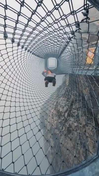 Uploded to the cloud