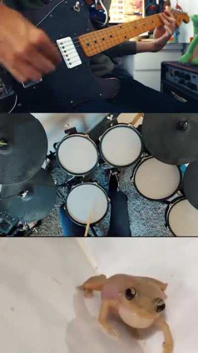 frog doing some METAAAL (yt channel : Castle's Egret)