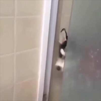 [Jeannie] I know Ein will act like this during a bath or shower