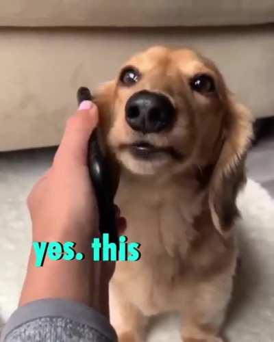 Wrong Number GIF by marybowes