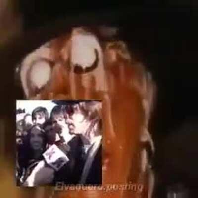 resuemen del año (feliz año 2021)