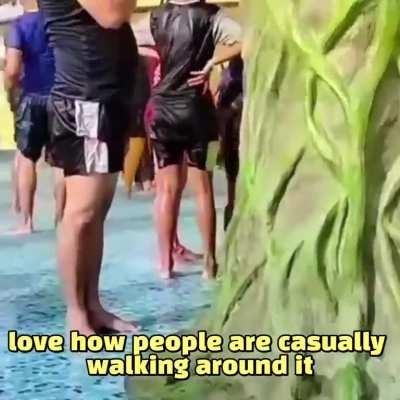 Biharis not shitting in open challenge (impossible)