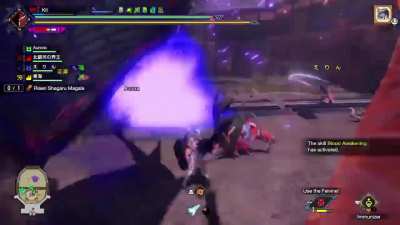 Alright, who the hell pissed off Risen Shagaru!?