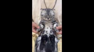 Zen, but still vibin’