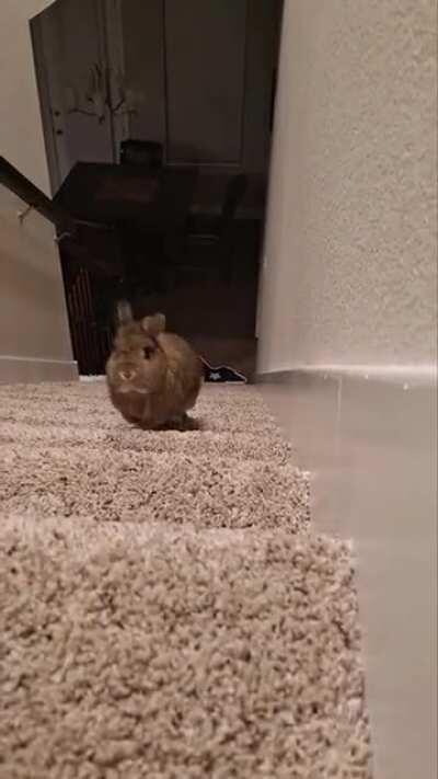 Up the stairs to the camera!