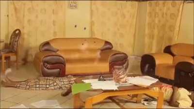 Saw this and thought you guys might like it.