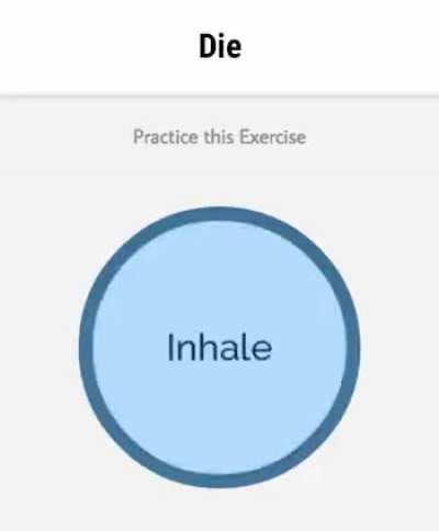 Հռիփսիմե ռօչձ ռլչ էլ ավելի զարգացնելու նպատակով կառավարությունը