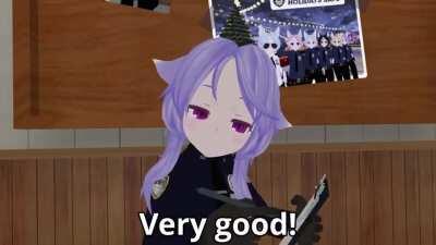 Random Police Checkpoint