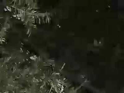 SUKAS LIETNYYYYYKAI SUKASI TUR🅱INOS