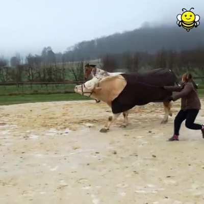 Aston the grass puppet shows off his jumping skills