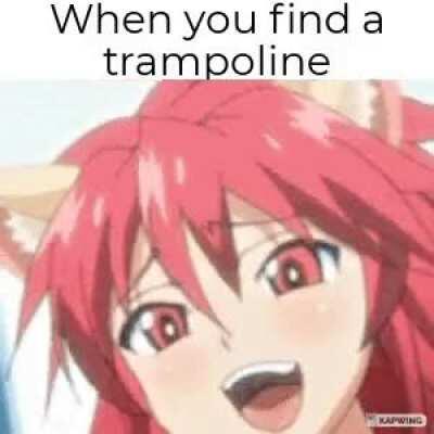 Bouncy fun for everyone