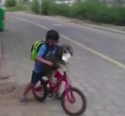 This young man was seen recently in Ecuador putting a face mask on his dog before putting one on himself