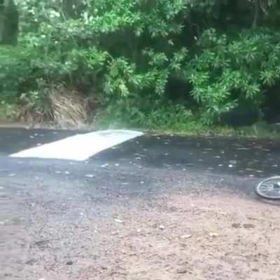 Slipped on a banana peel🤷