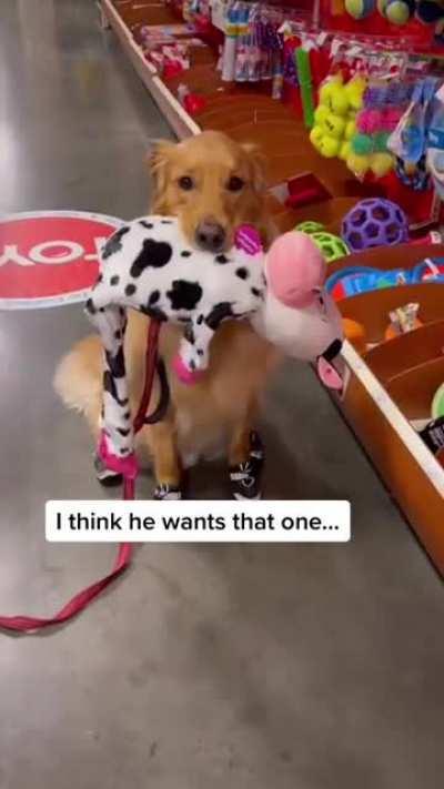 This man right here is a very good good man.