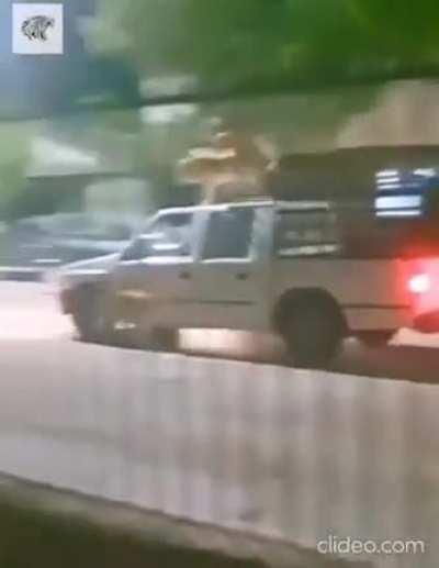 Look what I found on the internet