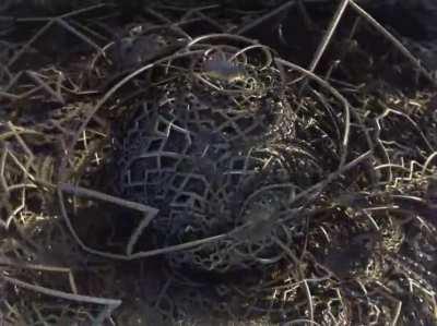 Deep Thought is calculating your coordinates, please wait for teleportation. [OC]