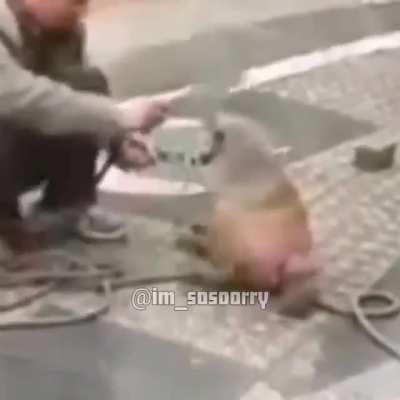 This has to belong here...