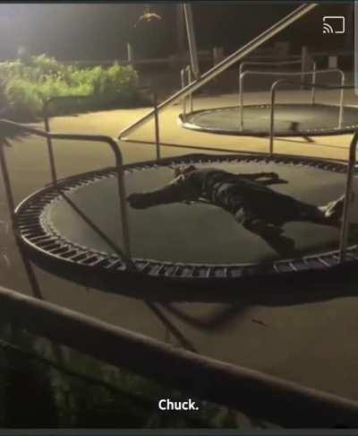 Dreaming of the Olympics