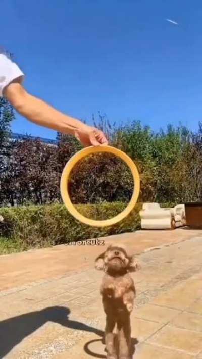 Dies inside mid jump after realisation.