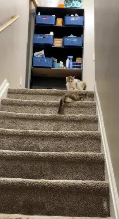 Battle of the high grounds