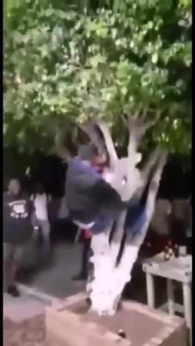 cual es el sentido de la vida?