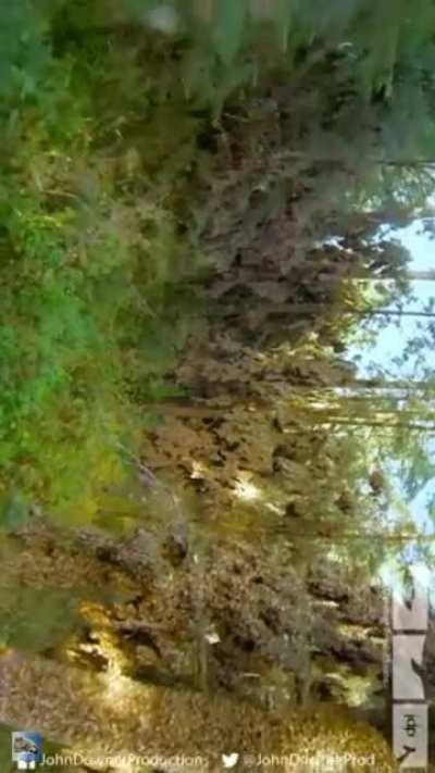 Early prototype testing footage. The Truth is real...