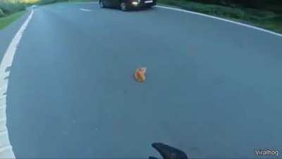 Guy saves kitten on the road
