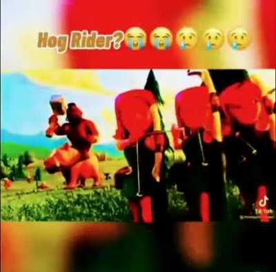 Hog Rida