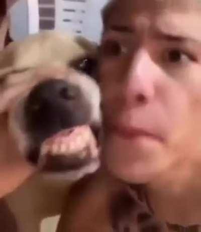 The dawg and the dog