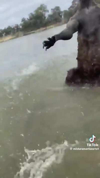 Guy saves his dog from being drowned by a kangaroo