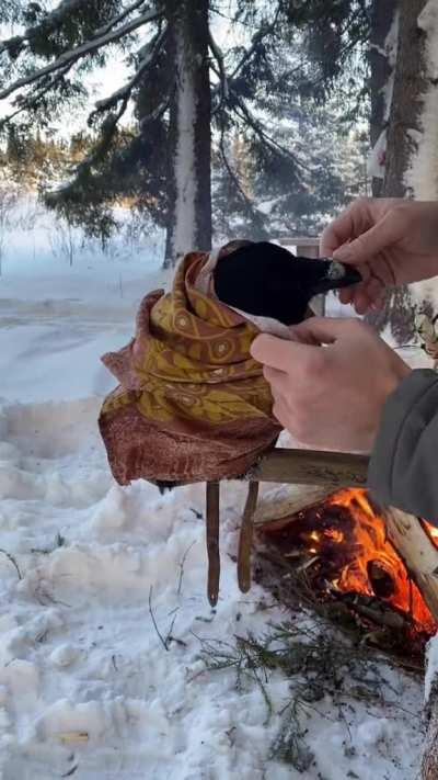 This guy warming up his raven by a fire with a blanket