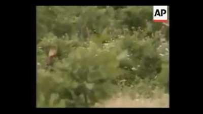 Turkish Commandos and Kurdish Peshmerga fighting against PKK, 1998 Northern Iraq. 2 militants captured.