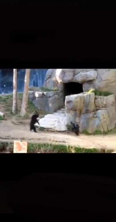 Orson cuando el chat dice m4ric0n