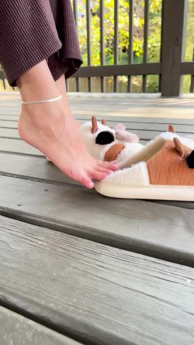 How long would you last before giving in to this temptation?