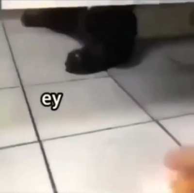 Never trust public toilets