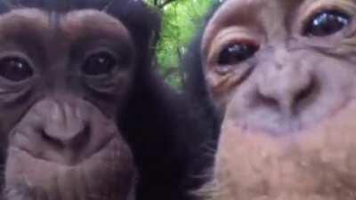 hav gud dayy wit monke!!